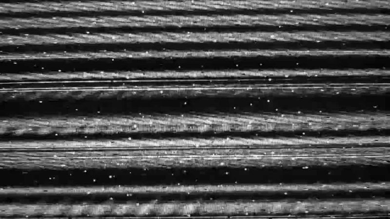 Video Roundup: Yung Nnelg, Ocho&Ibs, Bokoesam, Ray Fuego & Loopey - Patta